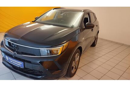 Opel Grandland (X) Gebrauchtwagen