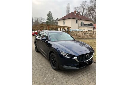 Mazda CX-30 Gebrauchtwagen