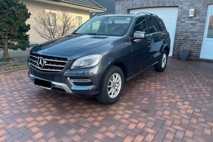 Mercedes-Benz ML 350 Gebrauchtwagen