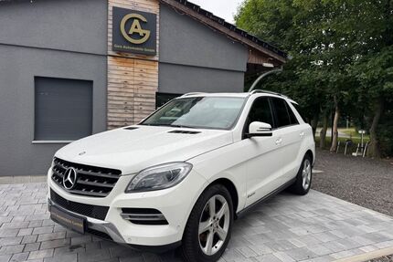 Mercedes-Benz ML 350 Gebrauchtwagen