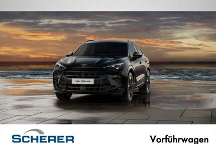 Cupra Terramar Gebrauchtwagen
