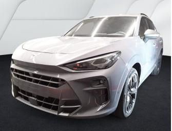 Cupra Terramar Gebrauchtwagen