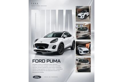 Ford Puma Gebrauchtwagen
