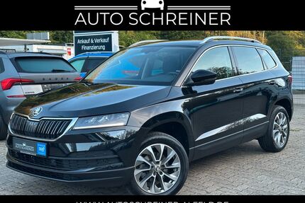 Skoda Karoq Gebrauchtwagen