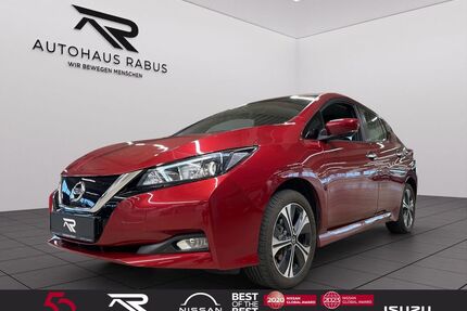 Nissan Leaf Gebrauchtwagen
