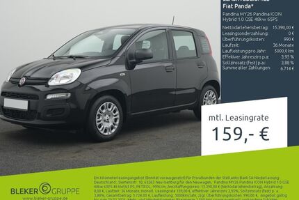 Fiat Panda Gebrauchtwagen
