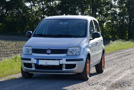 Fiat Panda Gebrauchtwagen