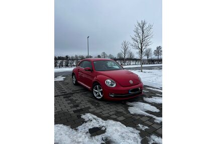 VW Beetle Gebrauchtwagen