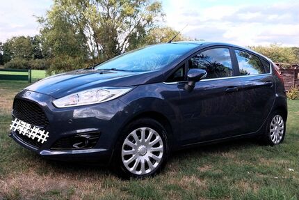 Ford Fiesta Gebrauchtwagen