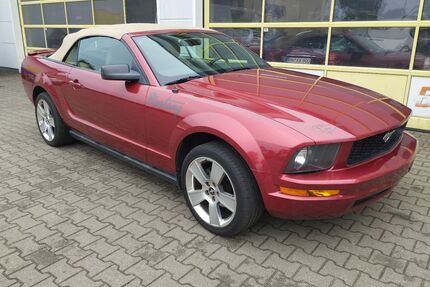Ford Mustang Gebrauchtwagen