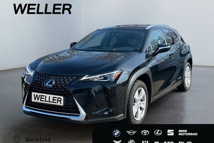 Lexus UX Gebrauchtwagen