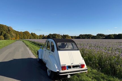 Citroen 2 CV Gebrauchtwagen