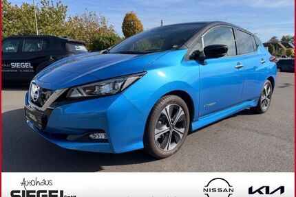 Nissan Leaf Gebrauchtwagen