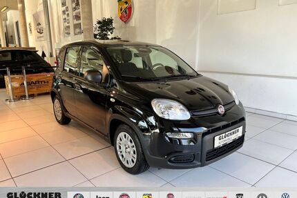 Fiat Panda Gebrauchtwagen