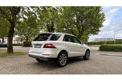 Mercedes-Benz ML 350 Gebrauchtwagen