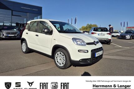 Fiat Panda Gebrauchtwagen