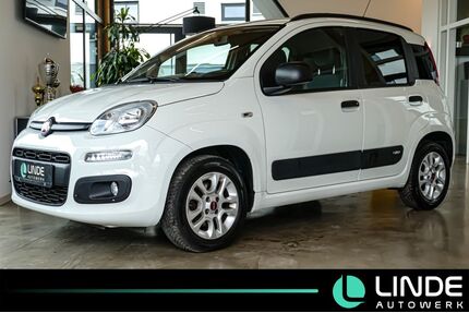 Fiat Panda Gebrauchtwagen