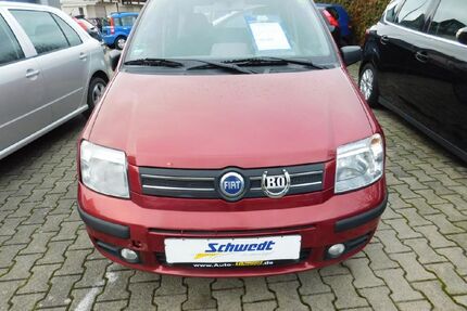 Fiat Panda Gebrauchtwagen