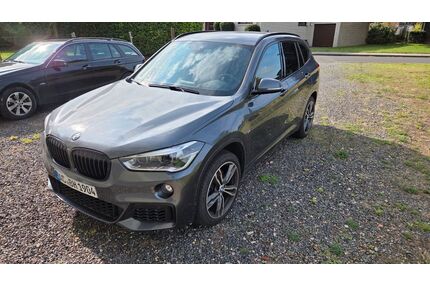BMW X1 Gebrauchtwagen