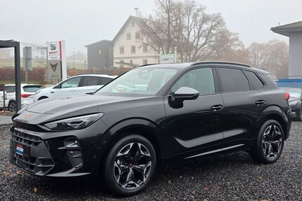 Cupra Terramar Gebrauchtwagen