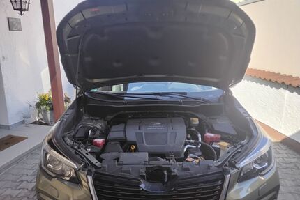 Subaru Forester Gebrauchtwagen