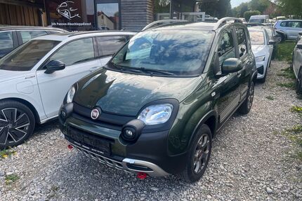 Fiat Panda Gebrauchtwagen