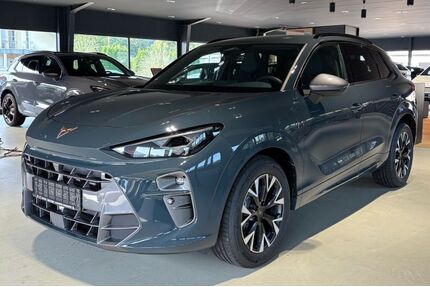 Cupra Terramar Gebrauchtwagen