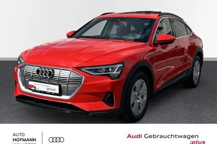 Audi e-tron Gebrauchtwagen