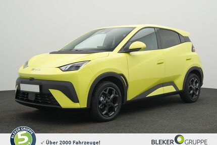 BYD DOLPHIN Gebrauchtwagen