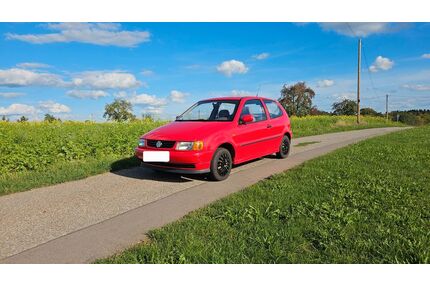 VW Polo Gebrauchtwagen