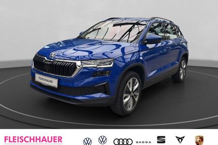 Skoda Karoq Gebrauchtwagen