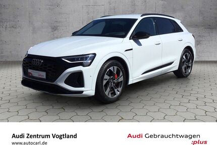 Audi Q8 e-tron Gebrauchtwagen