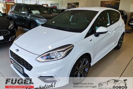Ford Fiesta Gebrauchtwagen