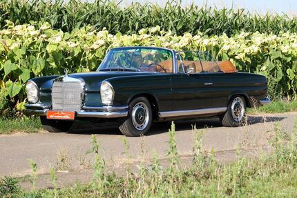 Mercedes-Benz 250 Gebrauchtwagen
