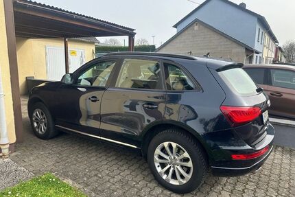 Audi Q5 Gebrauchtwagen