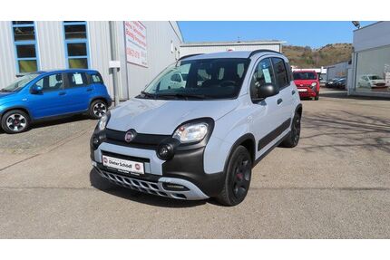 Fiat Panda Gebrauchtwagen