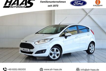 Ford Fiesta Gebrauchtwagen