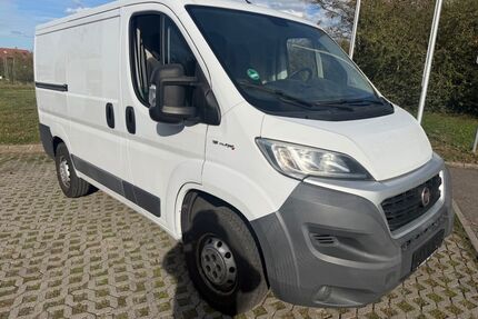 Fiat Ducato Gebrauchtwagen