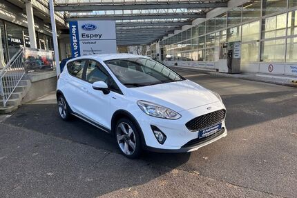 Ford Fiesta Gebrauchtwagen