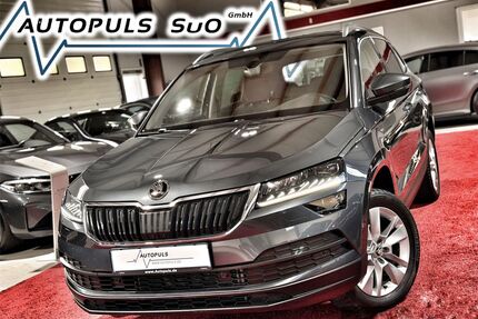 Skoda Karoq Gebrauchtwagen