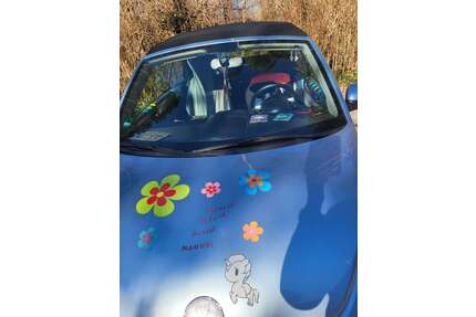 VW New Beetle Gebrauchtwagen