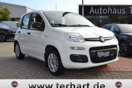 Fiat Panda Gebrauchtwagen