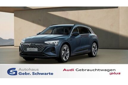 Audi Q8 e-tron Gebrauchtwagen