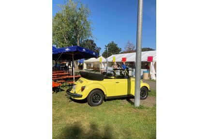 VW Käfer Gebrauchtwagen