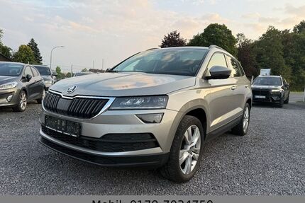 Skoda Karoq Gebrauchtwagen