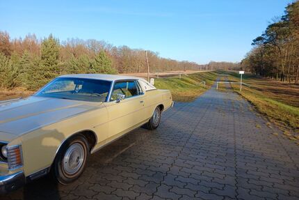 Ford Andere Gebrauchtwagen