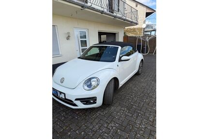 VW Beetle Gebrauchtwagen