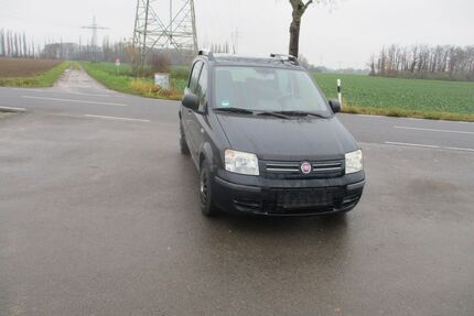 Fiat Panda Gebrauchtwagen