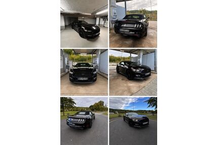 Ford Mustang Gebrauchtwagen