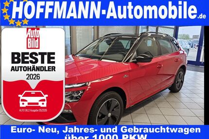 Skoda Kamiq Gebrauchtwagen